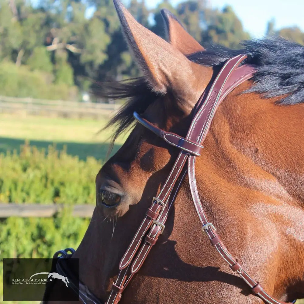 Silver Crown La Baulle Ii Headpiece Bridles