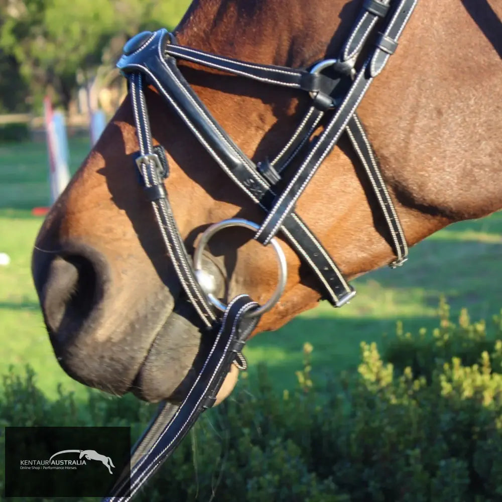 Silver Crown Spider Noseband Bridles