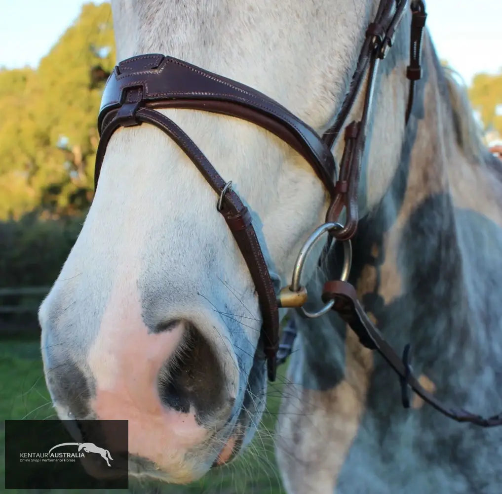 Silver Crown US Noseband Australian Nut (No White Stitching) Bridles