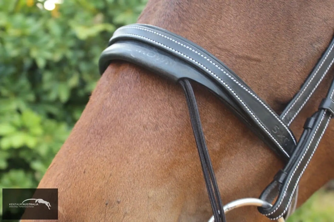 Silver Crown Valla Noseband Bridles