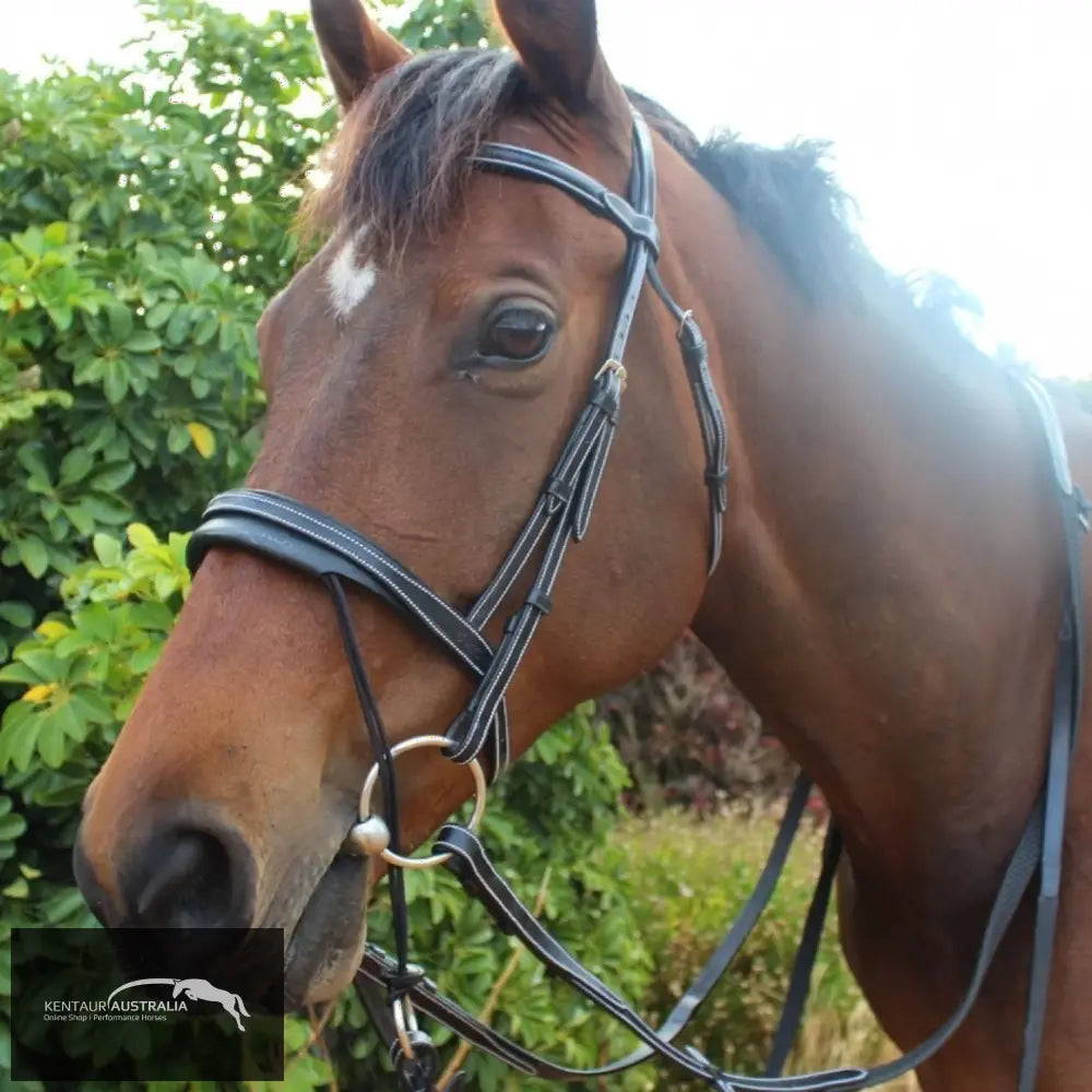 Silver Crown Valla Noseband Bridles