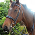 Silver Crown Valla Noseband Bridles