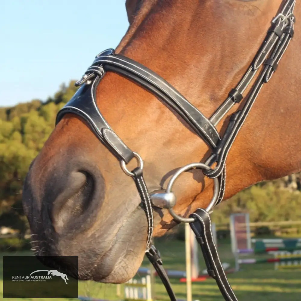 Silver Crown X Nose II Noseband Black Bridles