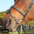 Silver Crown X Nose II Noseband Black Bridles