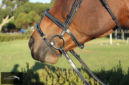 Silver Crown X Nose Ii Noseband Bridles