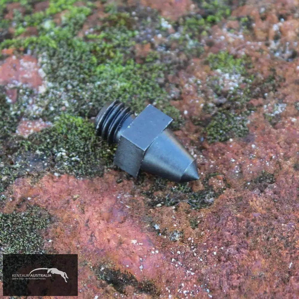 Supastud - Medium Dressage Stud Studs