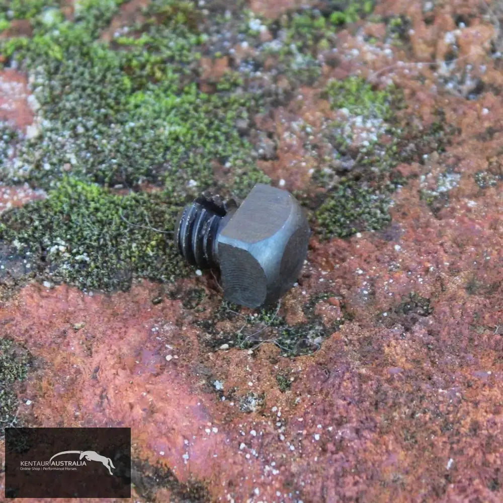 Supastud - Small Polo Stud Studs