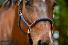 Load image into Gallery viewer, Cavaletti Tara Halter Halters &amp; Flyveils