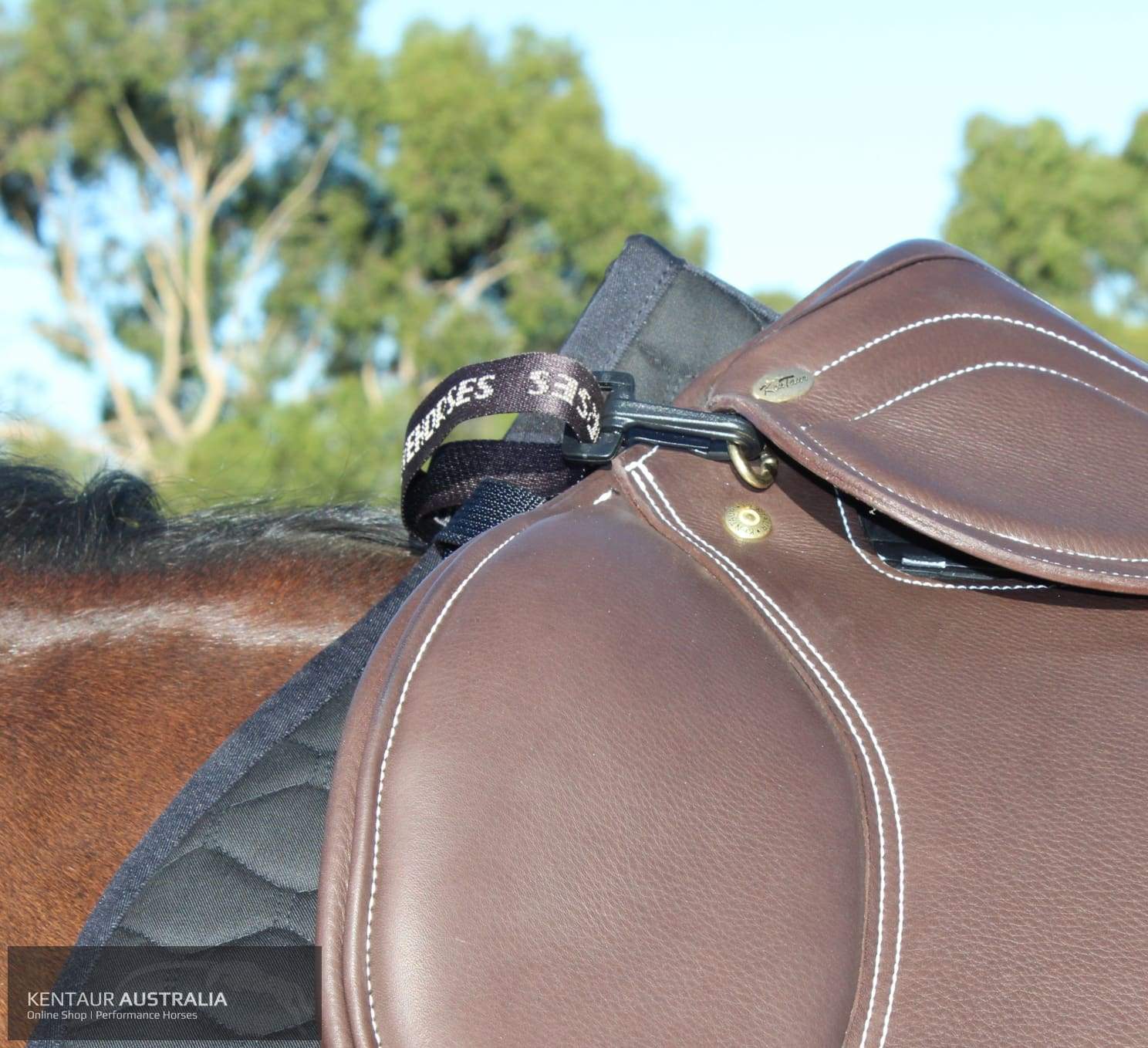 Equine Body Bandage Saddle Accessories