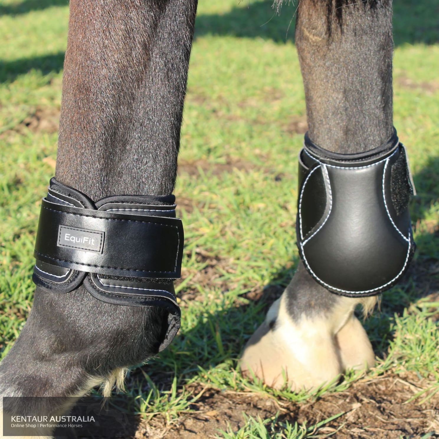 EquiFit Young Horse Hind Boots Black / Small Jumping Boots
