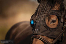 Load image into Gallery viewer, Equilume ’Belfied’ Light Mask Belfied / Black Other Accessories