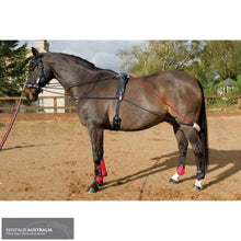 Load image into Gallery viewer, John Whitaker Training System Training Aids