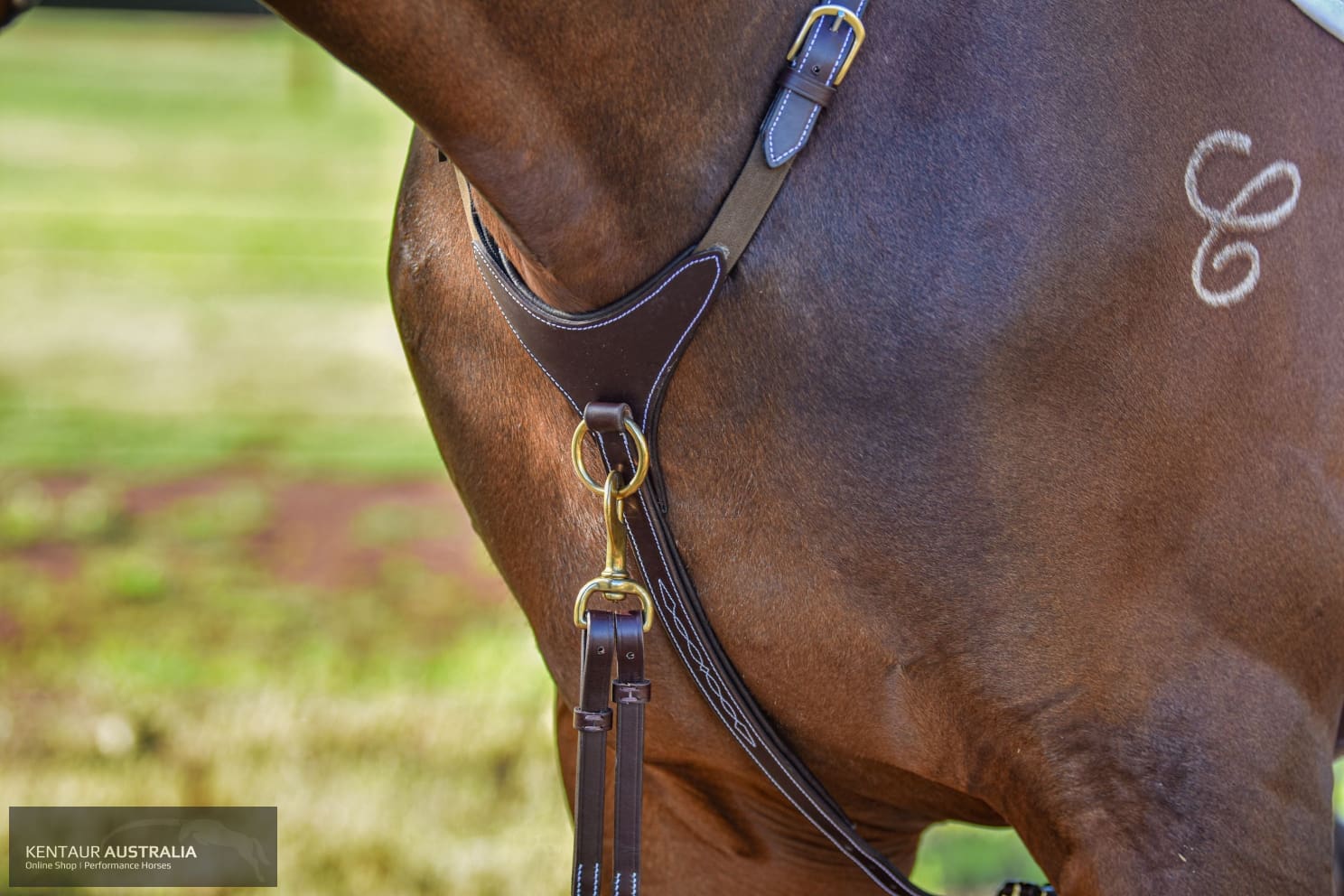 Kentaur ’Arras’ Breastplate Breastplates