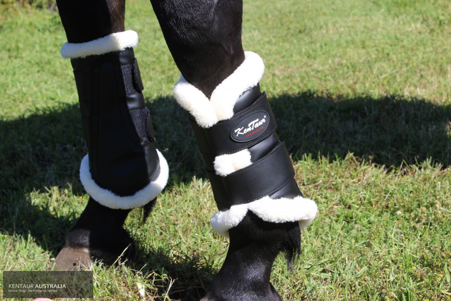 Kentaur Artificial Sheepskin Dressage Boots dressage boots