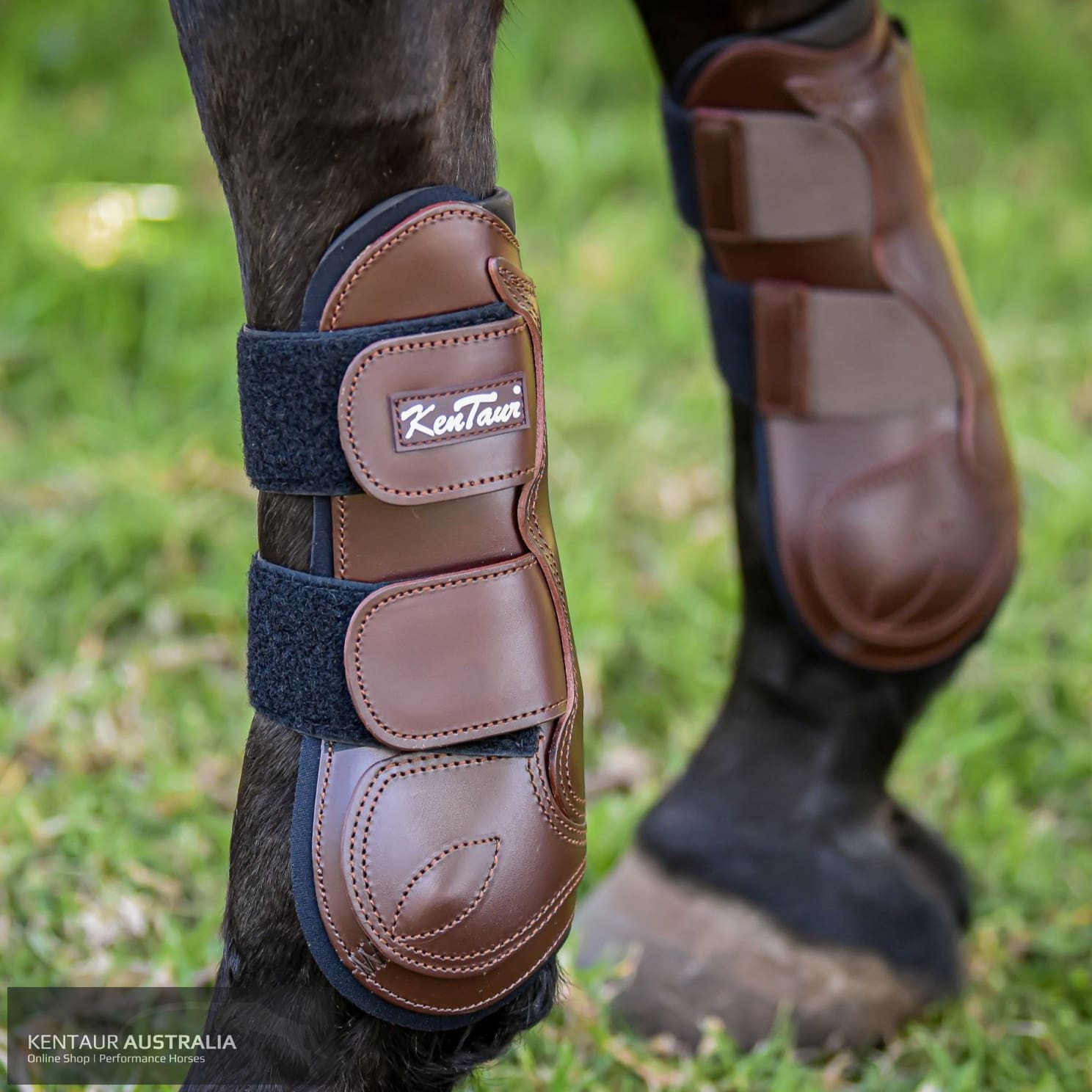 Kentaur ’Carmona’ Front Jump Boots Brown / Full Jumping Boots