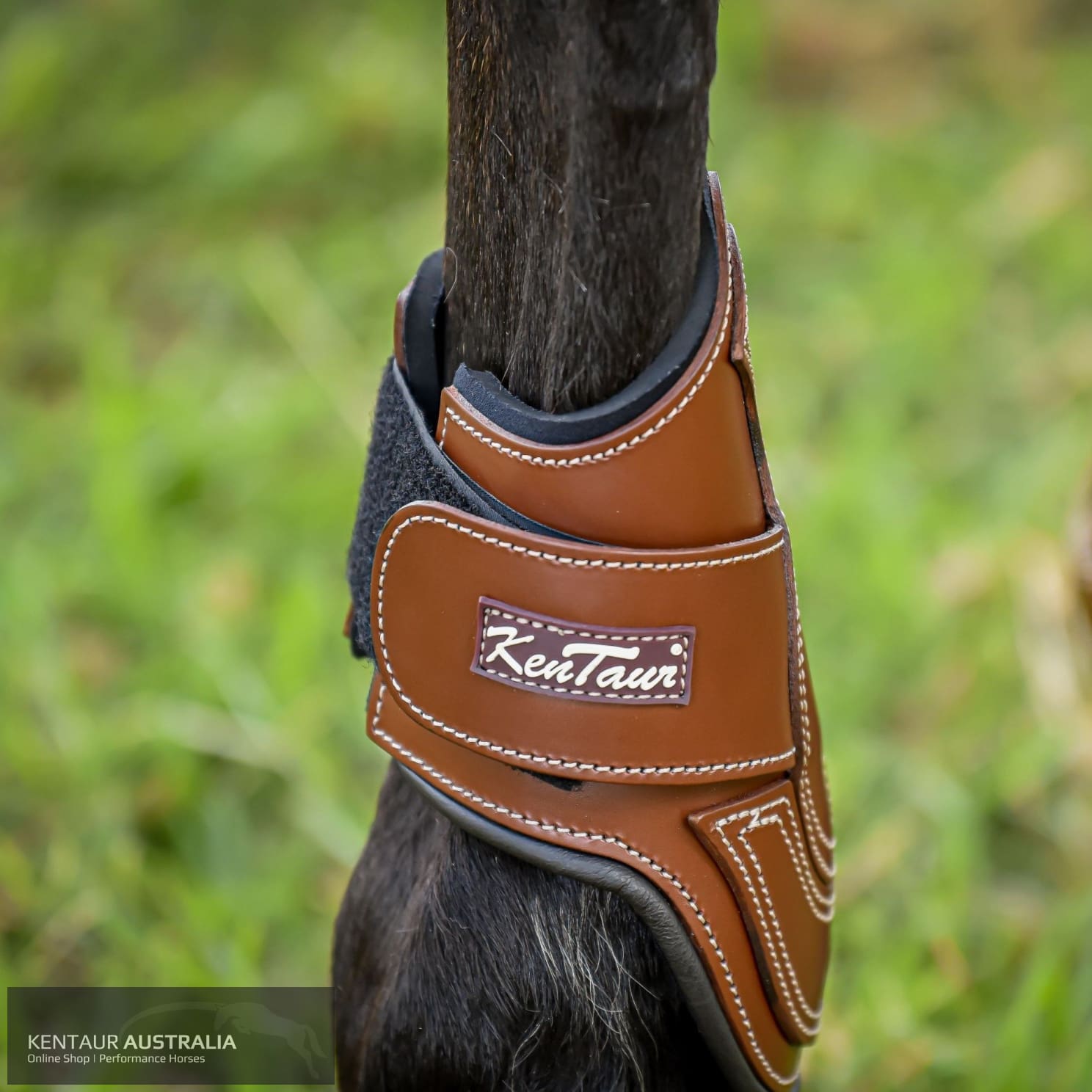 Kentaur ’Carmona’ Hind Jumping Boots Brown / Full Jumping Boots