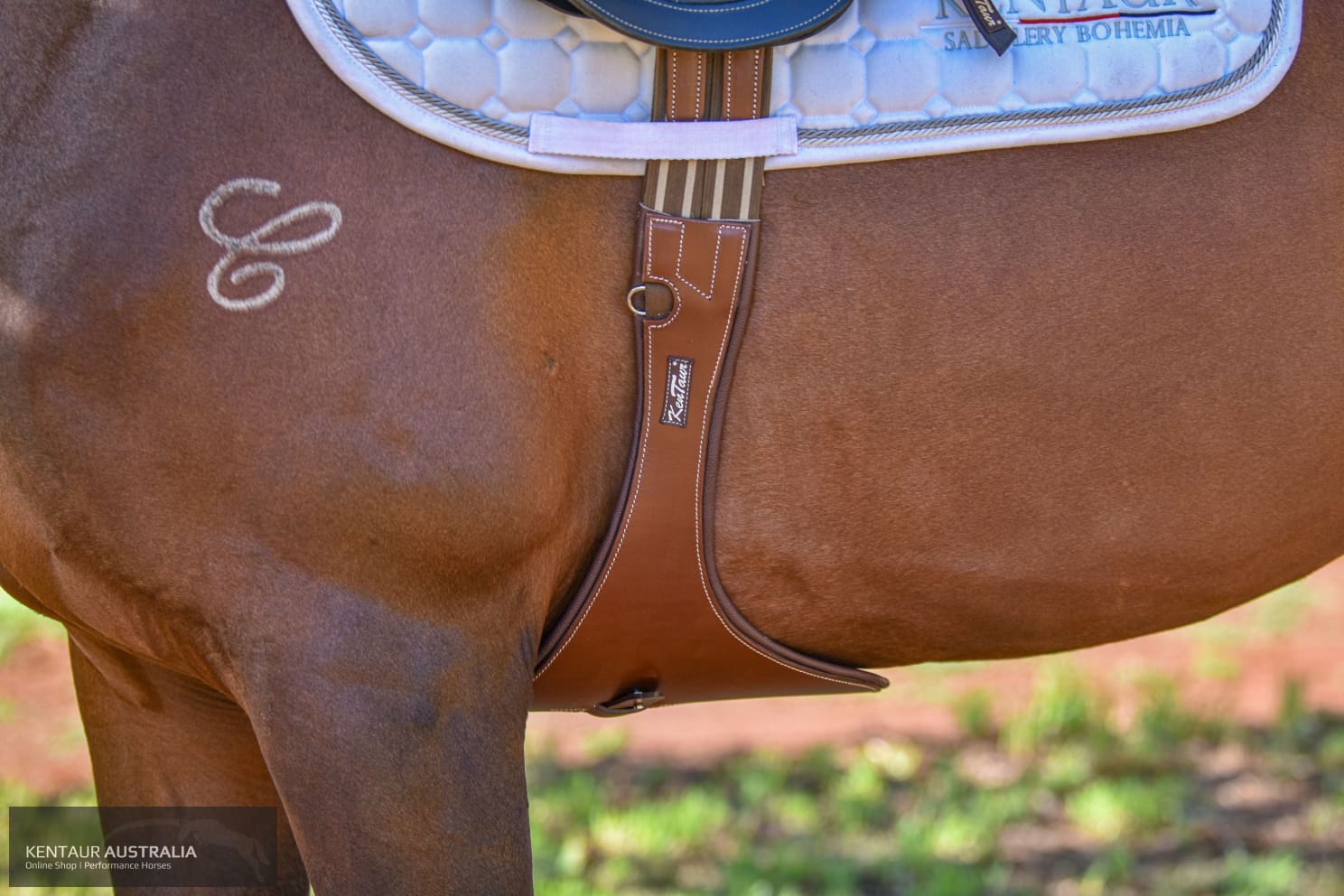 Kentaur ’Cassis Pony’ Stud Girth Tobacco / 110cm jumping girths