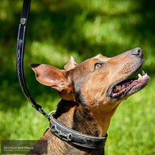 Load image into Gallery viewer, Kentaur ’Decorative Stitching’ Dog Lead Black Dog Lead