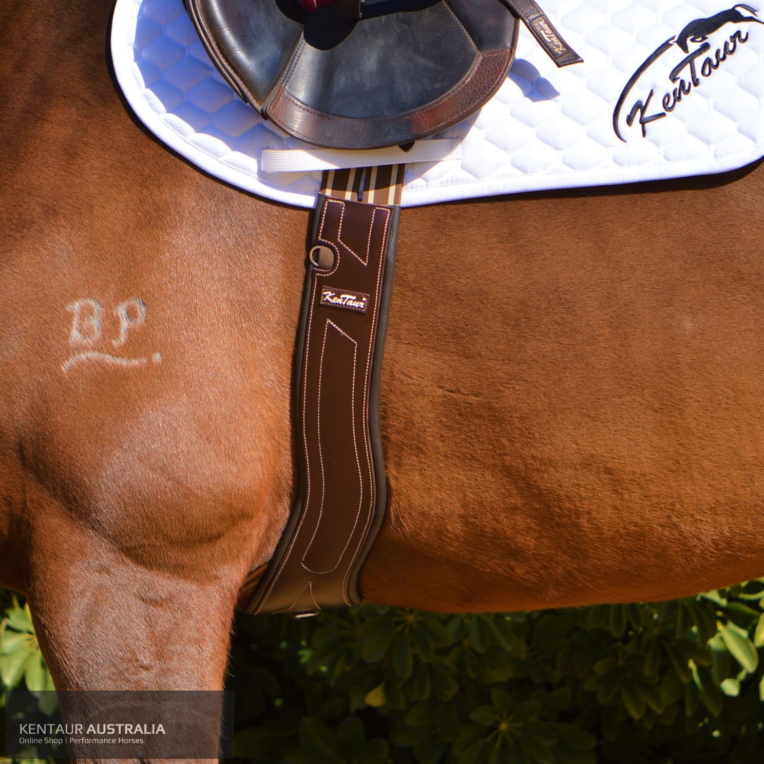 Kentaur Dijon Girth Dark Brown / 100 Saddle Accessories