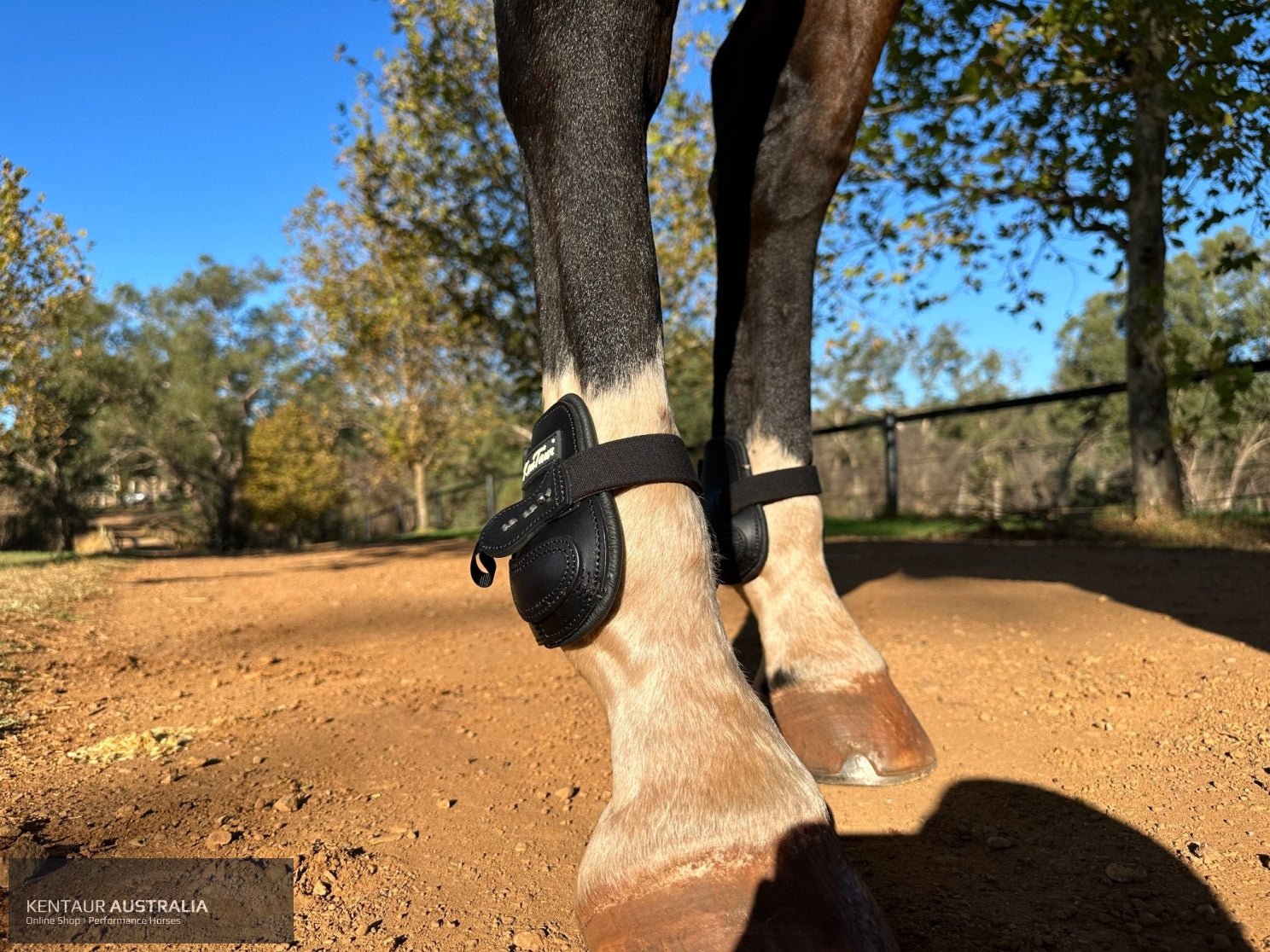 Kentaur ’Flicker 14cm’ Hind Boot Jumping Boots
