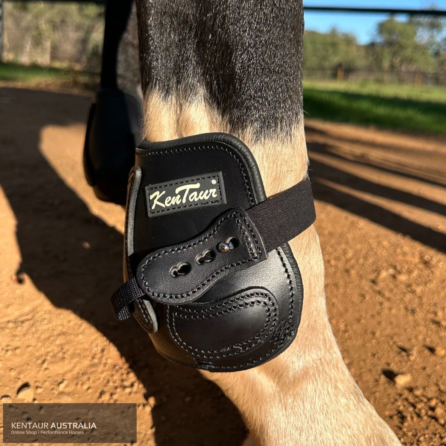 Kentaur ’Flicker 14cm’ Hind Boot Black / Full Jumping Boots