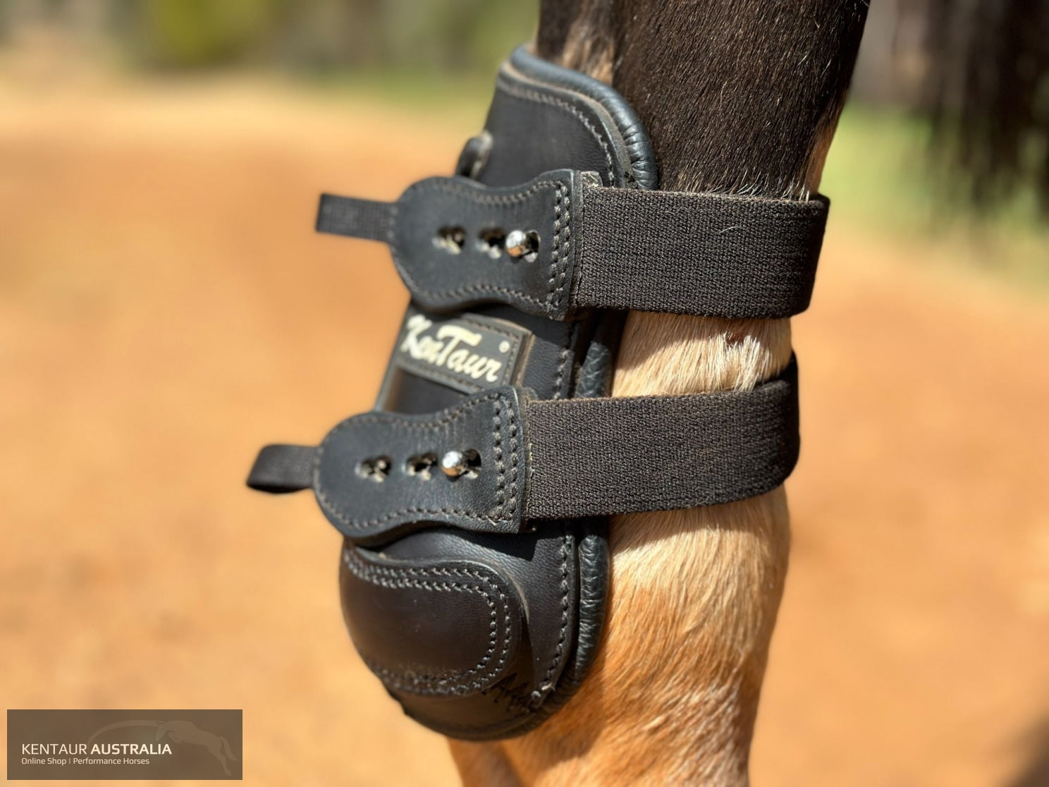 Kentaur ’Flicker 17cm’ Hind Boot Jumping Boots