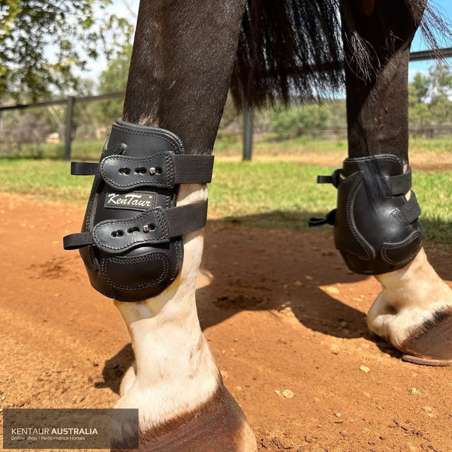 Kentaur ’Flicker 17cm’ Hind Boot Black / Full Jumping Boots