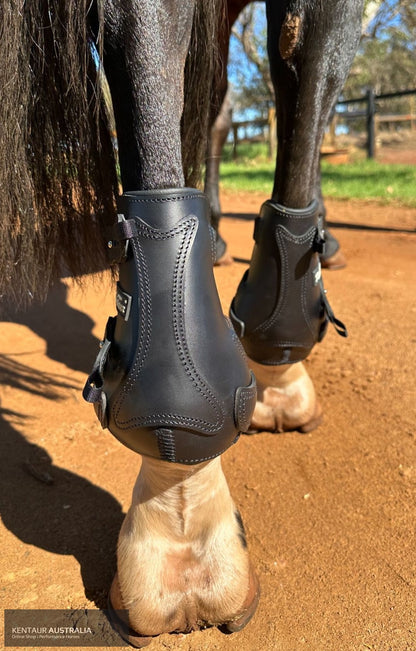 Kentaur ’Flicker 20cm’ Hind Boot Jumping Boots
