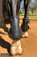Load image into Gallery viewer, Kentaur ’Flicker 20cm’ Hind Boot Jumping Boots