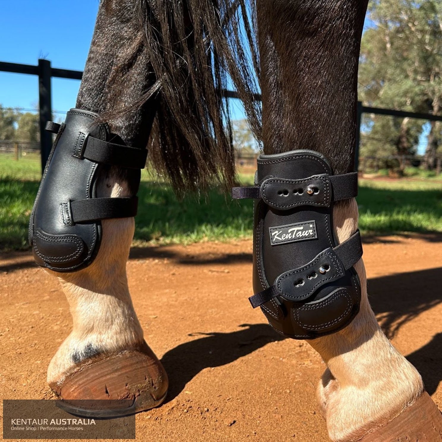 Kentaur ’Flicker 20cm’ Hind Boot Black / Full Jumping Boots