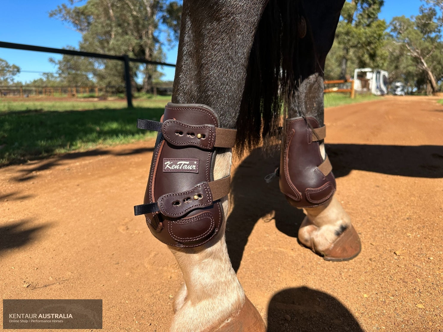 Kentaur ’Flicker 20cm’ Hind Boot Brown / Full Jumping Boots