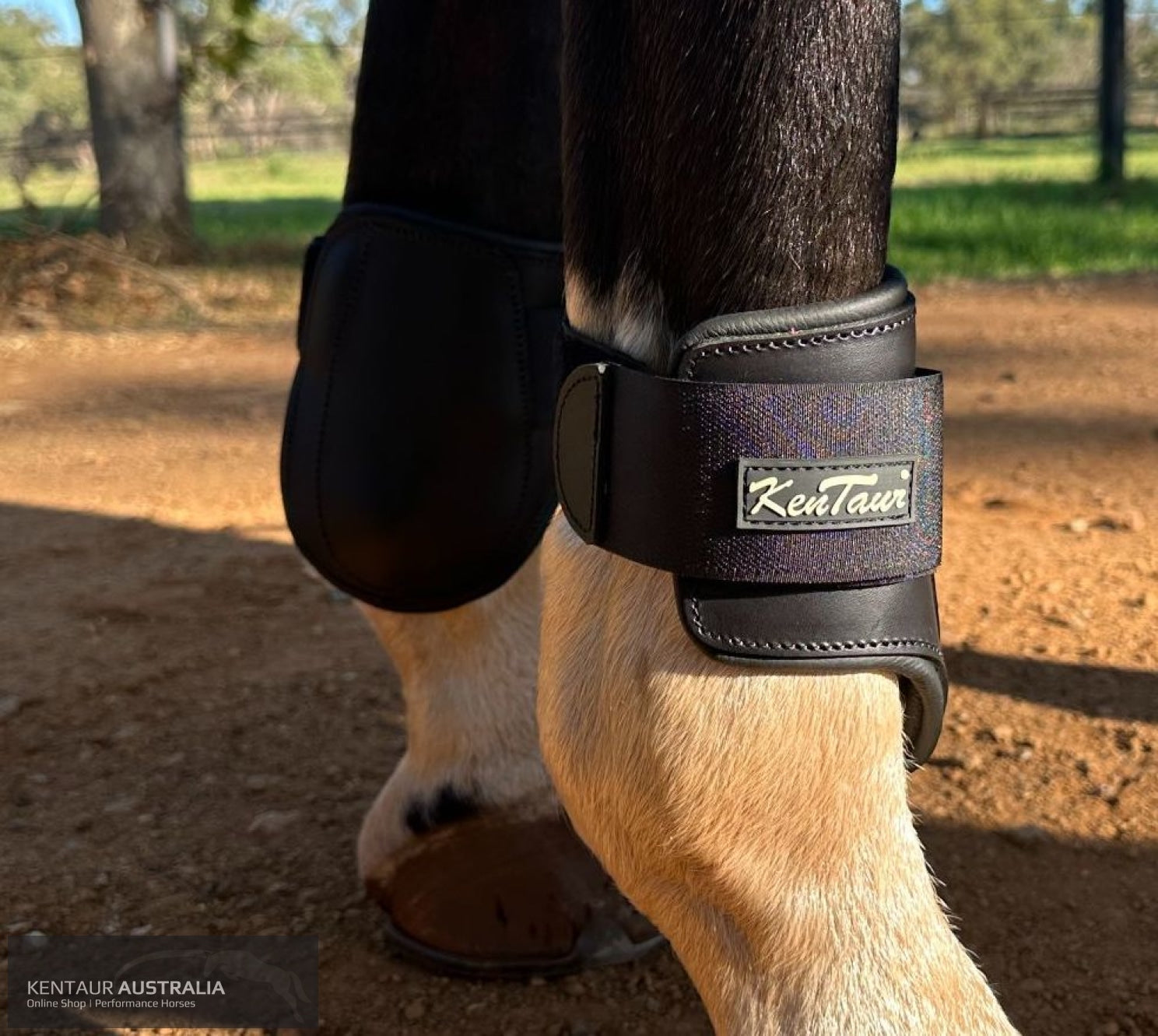 Kentaur ’Flicker Rear’ Hind Boot Black / Full Jumping Boots