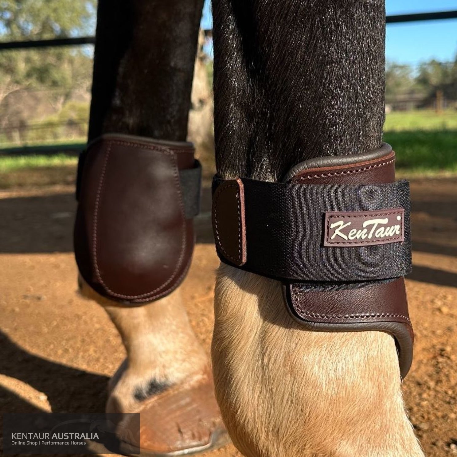 Kentaur ’Flicker Rear’ Hind Boot Brown / Full Jumping Boots