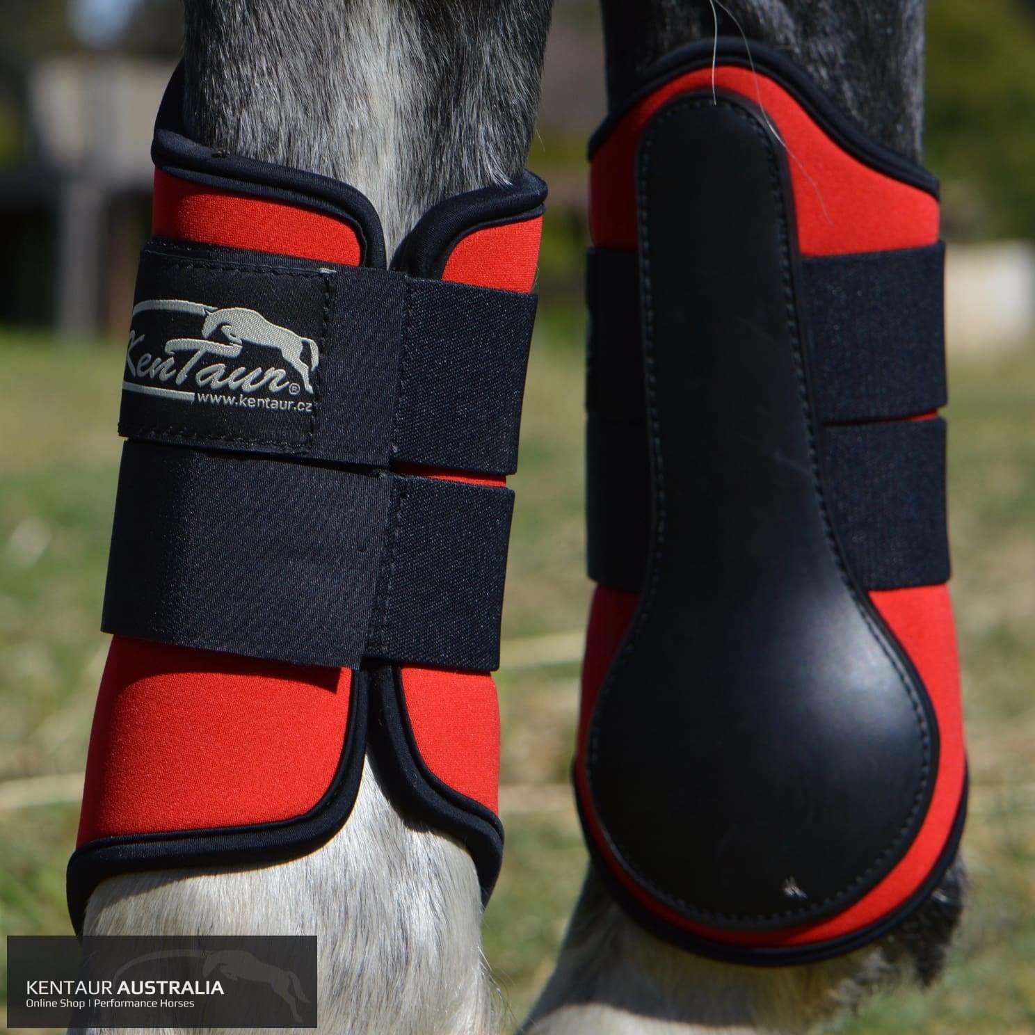 Kentaur Front Neoprene Boots dressage boots