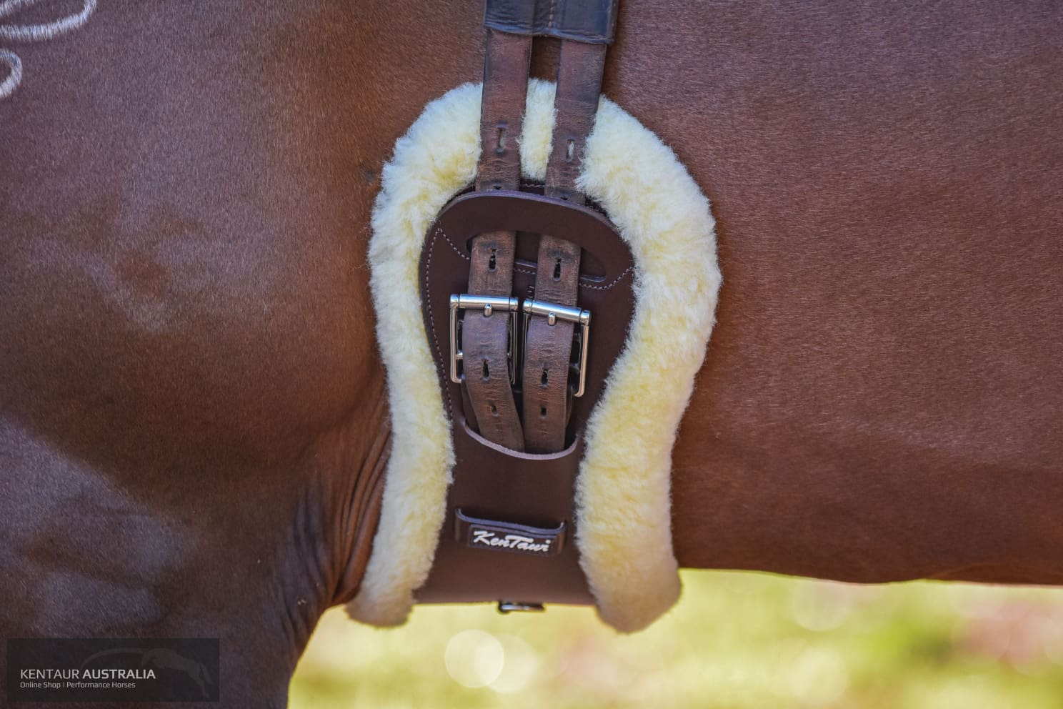 Kentaur ’Grand Prix’ Girth with Sheepskin Brown / 85cm / Yes Dressage Girth