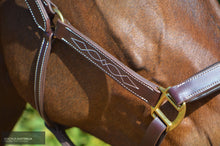 Load image into Gallery viewer, Kentaur Leather Halter With Stitching Halters &amp; Flyveils