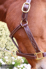 Load image into Gallery viewer, Kentaur Leather Halter With Stitching Halters &amp; Flyveils