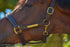 Kentaur Leather Name Plate Halter Dark Brown / Full Halters & Flyveils