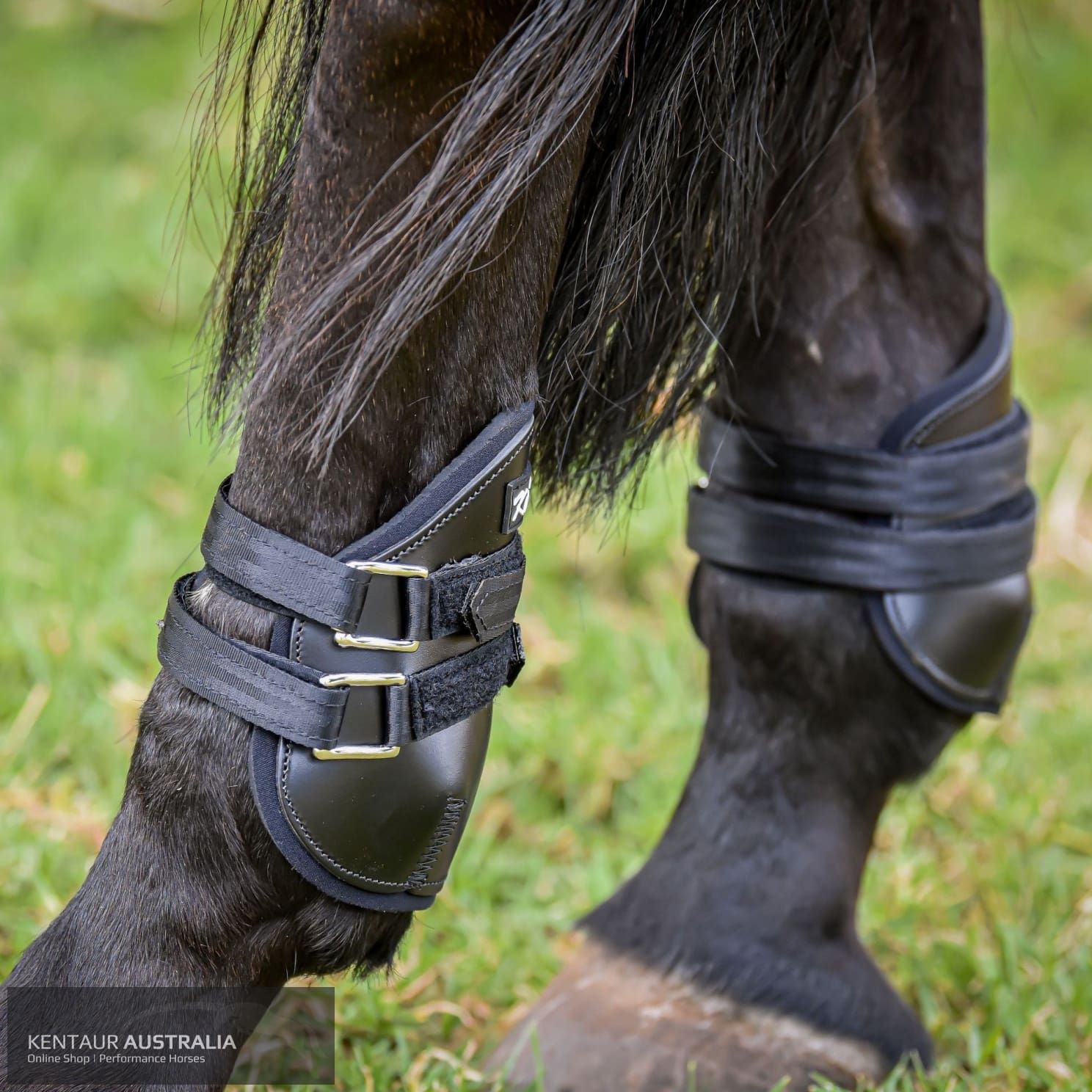 Kentaur Medium Leather Hind Pinch Boots Black Training Jumping Boots