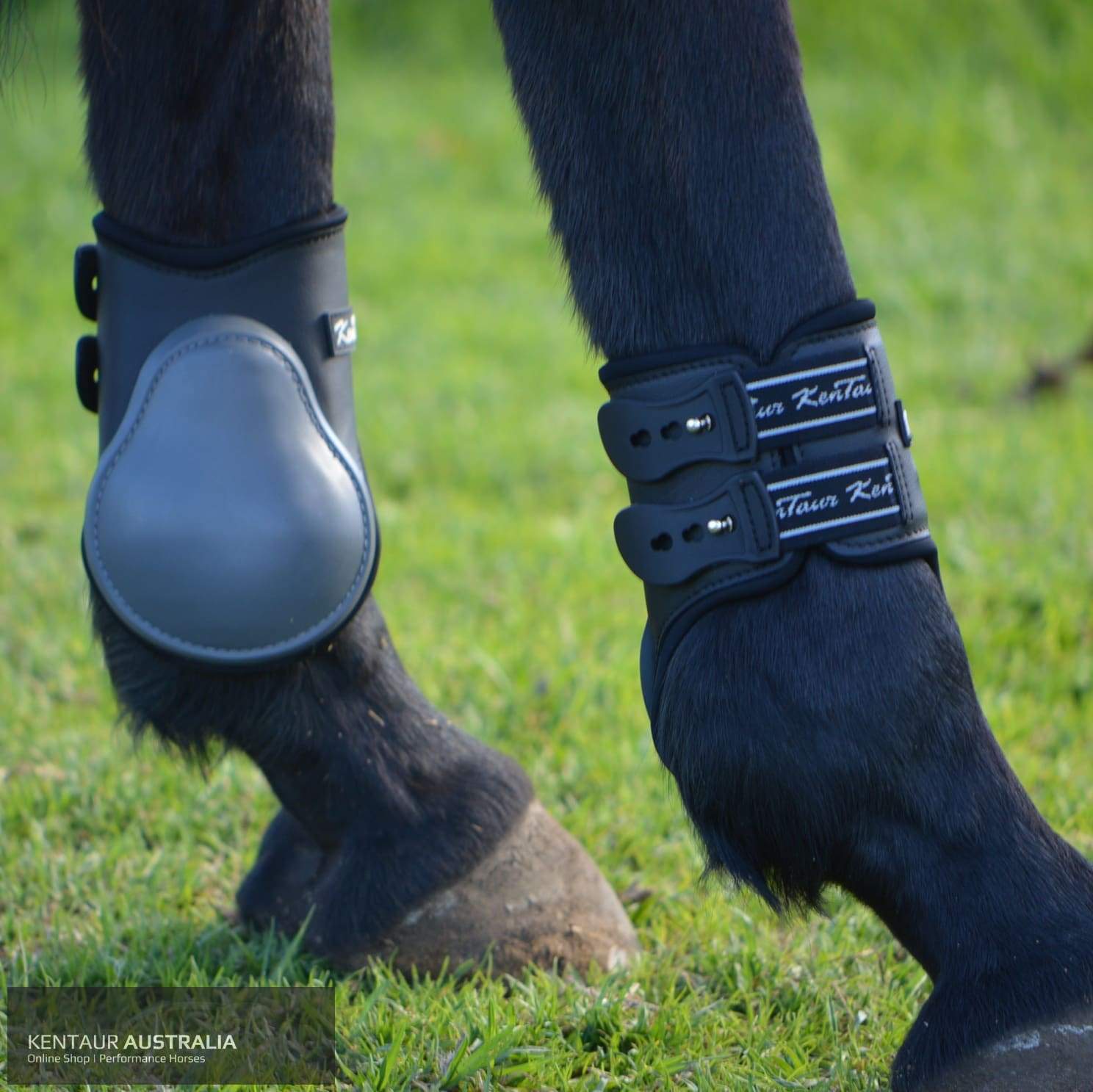 Hind boots show outlet jumping