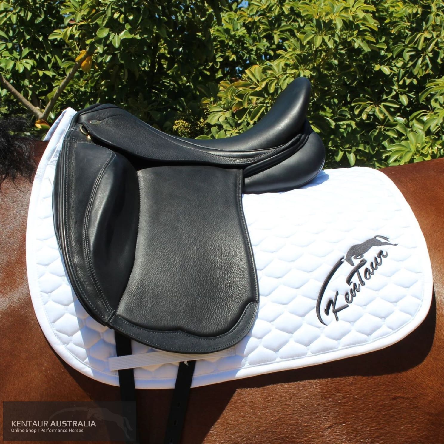 Kentaur Mono Pro Dressage Saddle Black Dressage Saddles