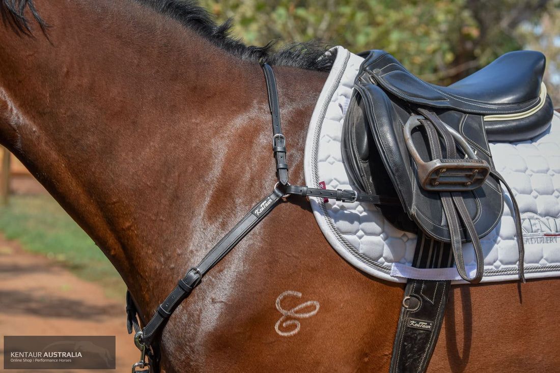 Kentaur ’Mons’ Breastplate Breastplates