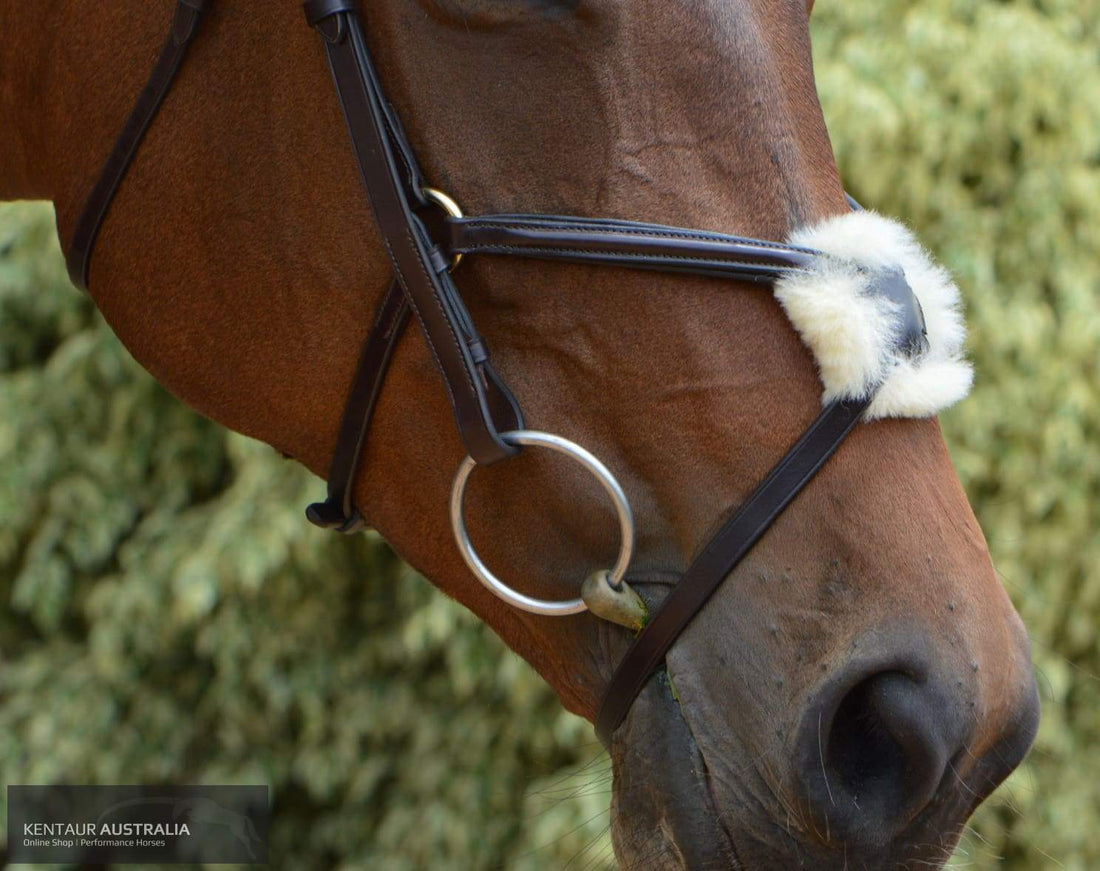 Kentaur Grackle Bridle With Plain Padded Browband And Nosepiece Bridles