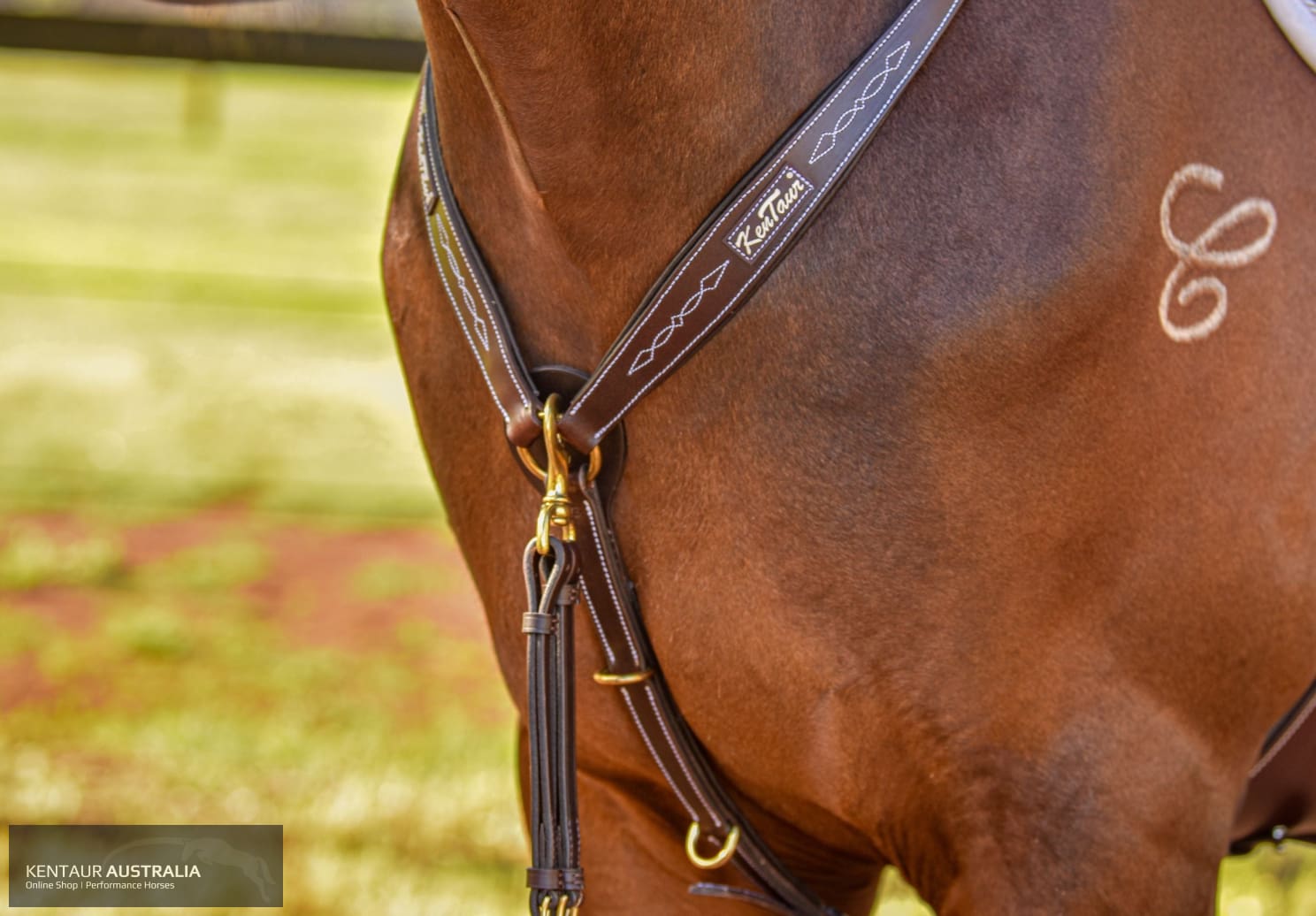 Kentaur ’Napoli’ Breastplate with Coloured Piping Black / Cob / White Breastplates