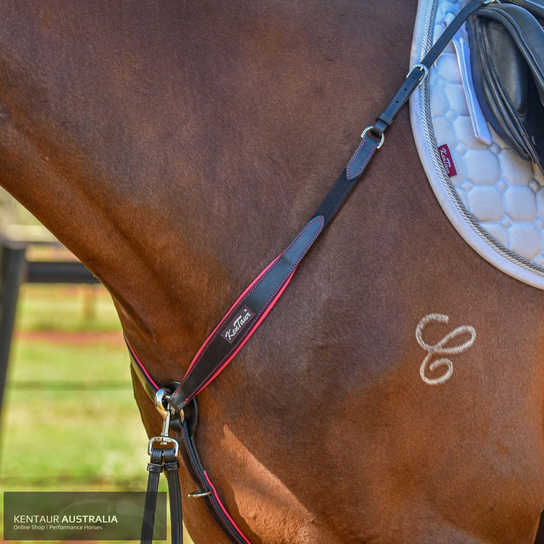 Kentaur ’Napoli’ Breastplate with Coloured Piping Black / Full / Pink Breastplates