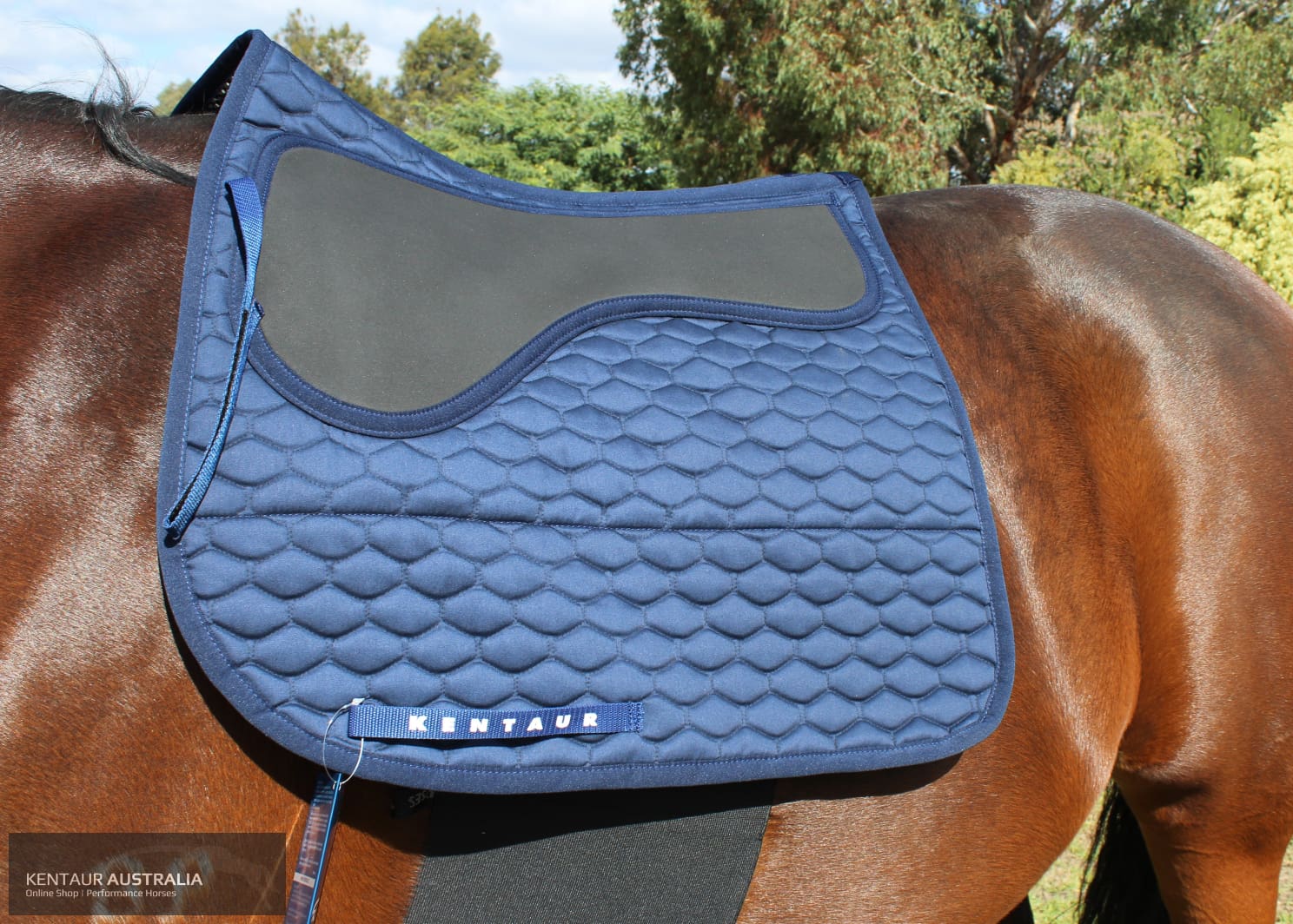 Kentaur Neo Non Slip Saddle Pad Saddle Pad