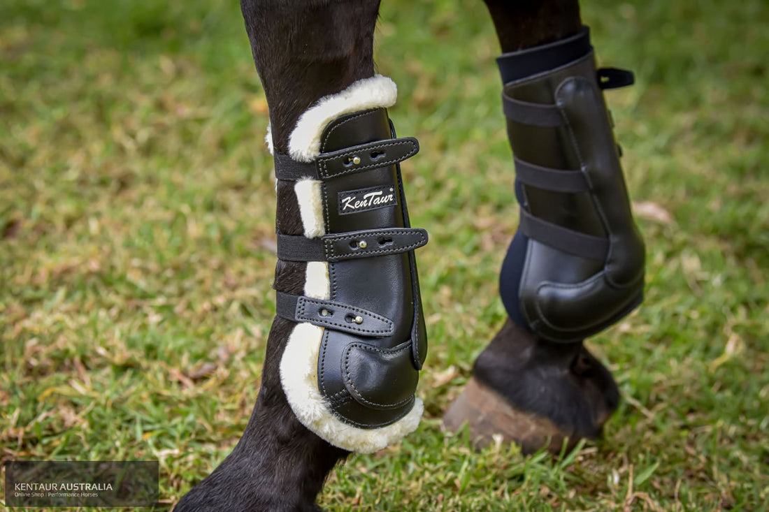 Horse Front Hind Leg Boots PU Shell Horse Boots Shock Absorption Open Front  for Show Jumping (L)
