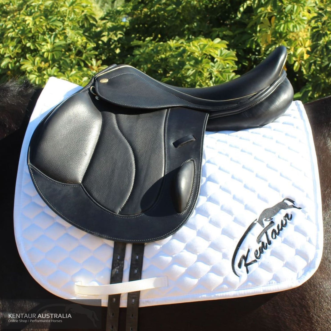 Kentaur Performer Eventing Saddle Black Jumping Saddles