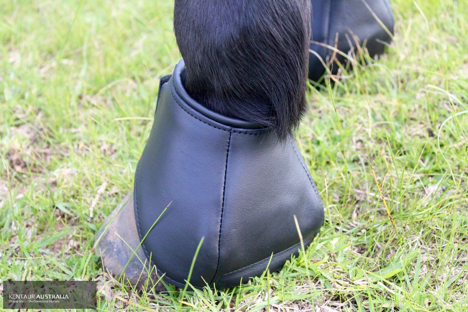Kentaur Premium Anatomic Leather Bell Boots 3/26Cm / Black Bell Boots