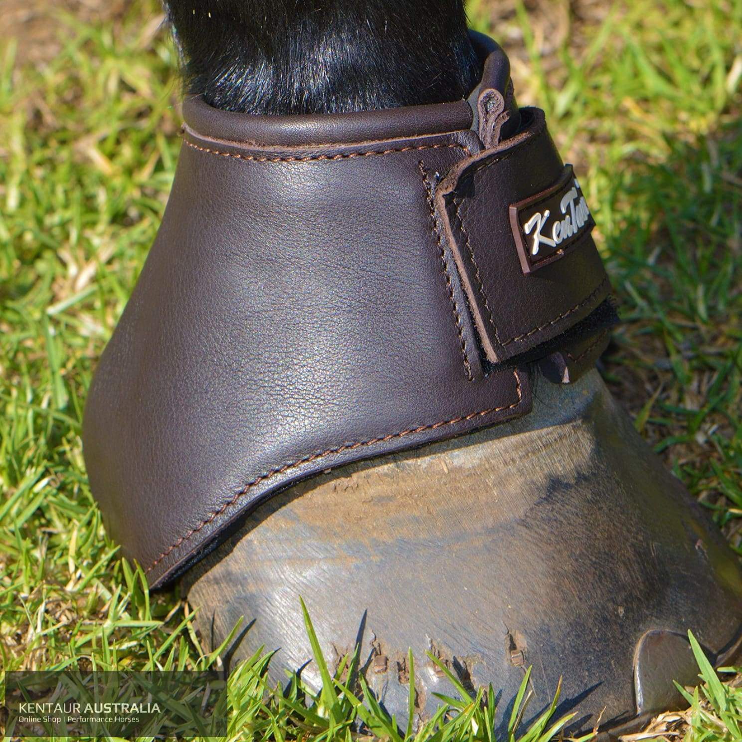 Kentaur Premium Anatomic Leather Bell Boots 1/22Cm / Brown Bell Boots